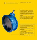2``Double Flanged Concentric Butterfly Valve